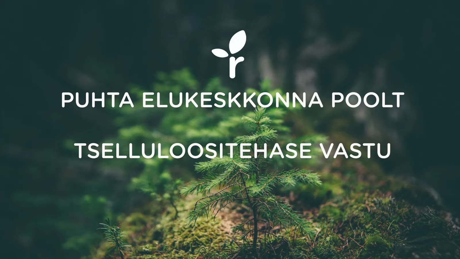 Marko Kaasik: Nekroloog tselluloosi planeeringule