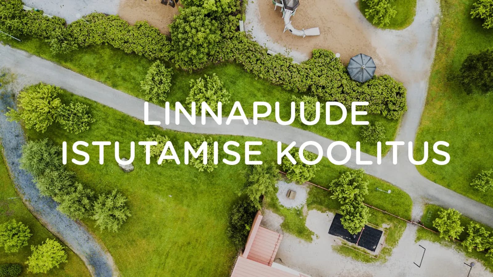 Puude istutamine on oskus, mida eestlased võiksid elus hoida