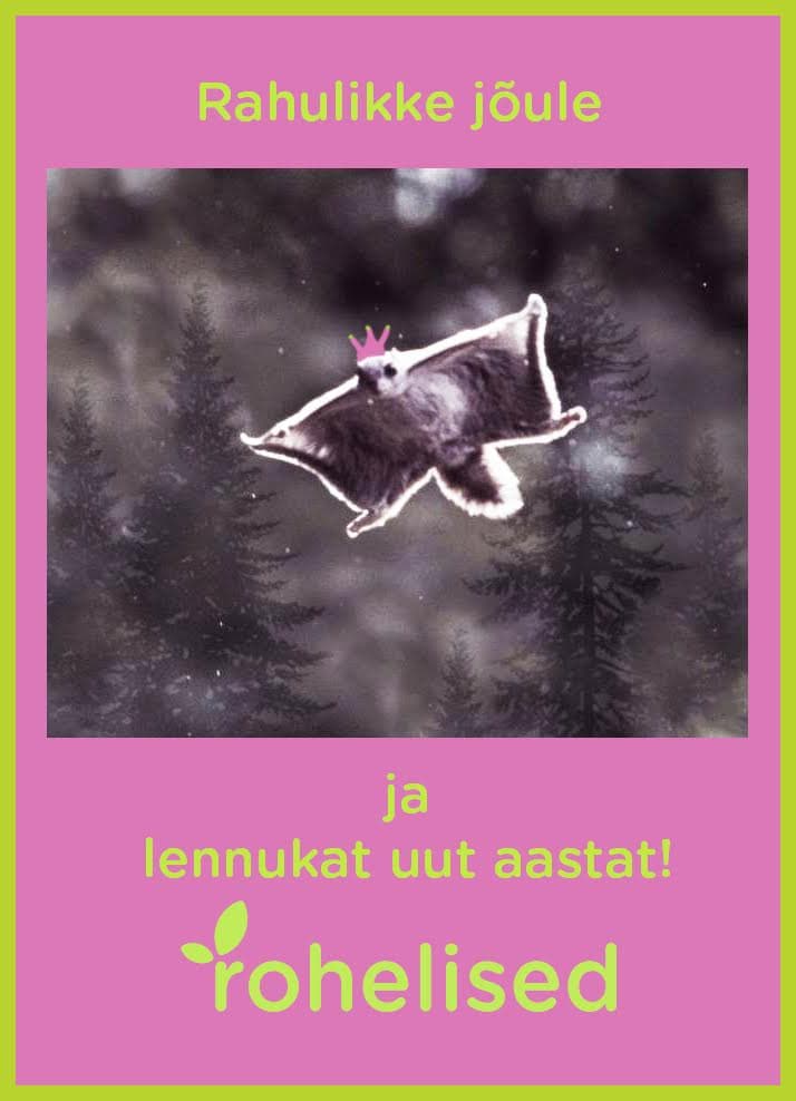 Rahulikke jõule ja lennukat uut aastat!