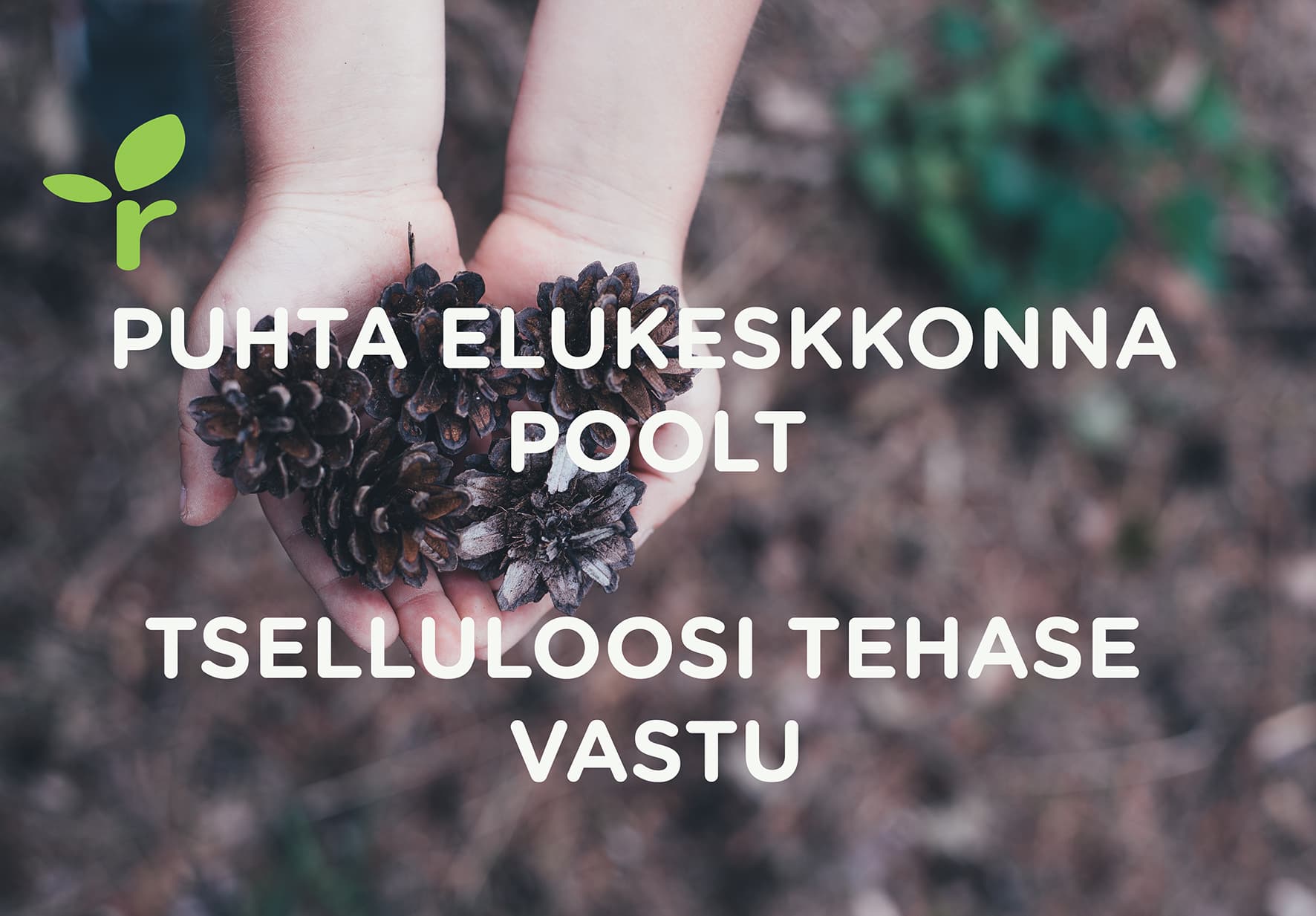 Marko Kaasik: (Tabivere) tselluloositehasega ühel pool? Kuhu edasi?